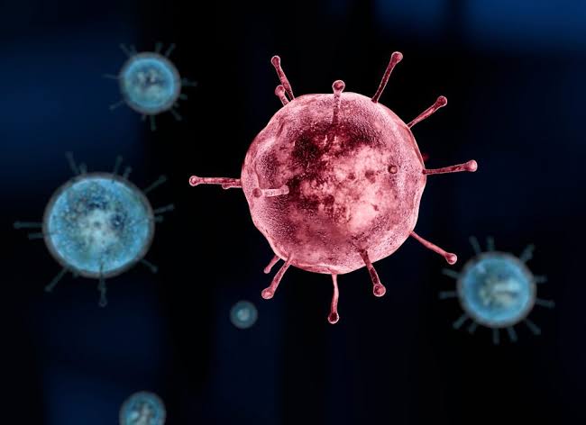 Qual é a origem do vírus?
 O novo vírus é apontado como uma variação da família coronavírus. Os primeiros coronavírus foram identificados em meados da década de 1960, de acordo com o Ministério da Saúde.